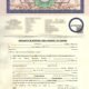 affidavit, travel, affidavit for travel abroad with family, consent letter for child traveling abroad, travel affidavit sample for visa, affidavit for dependent travel, parent consent letter for minor travel, travel affidavit format Pakistan, tourist visa affidavit sample, how to write travel consent letter, affidavit for family visit visa, supporting affidavit for travel abroad, minor travel consent form PDF, affidavit for spouse travel visa, embassy travel consent affidavit, affidavit format for visa application, notarized travel consent letter,