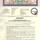 Affidavit, Staff Recruitment, FCPS-II Training, KIRAN Hospital, Karachi, Legal declaration, Residency,