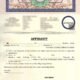 No Objection Affidavit for Ziarat, Affidavit for Ziarat Pilgrimage, Ziarat travel affidavit Pakistan to Iran, Affidavit format for pilgrimage travel, NOC for Ziarat from Pakistan to Iran, Pilgrimage affidavit template Pakistan, Iran Ziarat travel affidavit format, Affidavit for wife traveling Ziarat, NOC affidavit for pilgrimage travel, Affidavit sample for Ziarat visa,