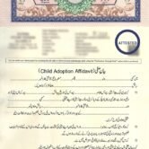 Child Adoption, Child Adoption Affidavit Pakistan, Adoption Affidavit Format, Legal Affidavit for Child Custody, Child Guardianship Affidavit Pakistan, Adoption Affidavit Sample,