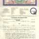 Undertaking & Indemnity Bond Format- Bahria Town, Bahria Town undertaking format, Bahria Town indemnity bond agreement, Seller purchaser agreement Bahria Town, Undertaking and indemnity bond template, Property sale purchase agreement Bahria Town, Bahria Town undertaking PDF download, Sale purchase affidavit Bahria Town format, Indemnity bond form for property transfer, Seller buyer agreement Bahria Town property, Bahria Town official undertaking bond,