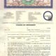 Change of Ownership, K- Electric, Name change, Undertaking format change of ownership K-Electric, K-Electric change of name undertaking form, Electricity meter ownership transfer undertaking, K-Electric ownership transfer affidavit format, Undertaking for transfer of K-Electric meter, Change of ownership application K-Electric, K-Electric undertaking format PDF download, Electricity connection name change undertaking, K-Electric meter transfer undertaking form, Change of name affidavit for K-Electric connection,